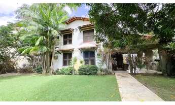 Imagem: O Refúgio do Pé de Açaí