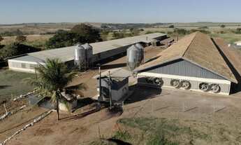 Imagem 5: Granja já pronta