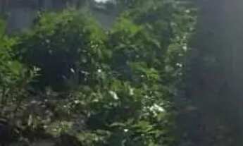 Imagem 4: Terreno à venda, 320 m² por R$ 170.000,00 - Centro - Fortaleza/CE