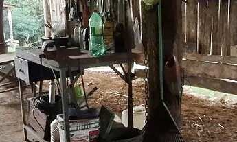 Imagem 5: Chácara Chácara com venda por R$380.000