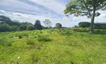 Imagem 4: 16 hectares com lindo açude