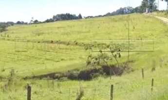 Imagem 3: Área na Rodovia Castelo Branco