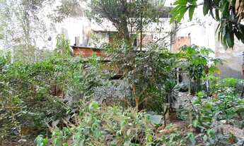 Imagem 4: Lote 550 m² - Centro Viçosa