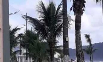 Imagem 5: Kitnet Mobiliada Praiao Grande/ Boqueirão