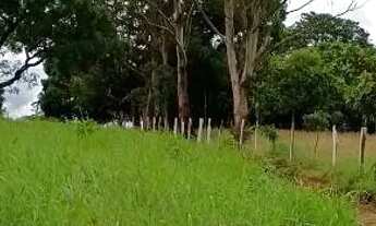 Imagem 5: Sítio a venda Chácara com venda por R$350.000