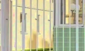 Imagem: Vendo apto 2 quartos-Quinta das Brisas