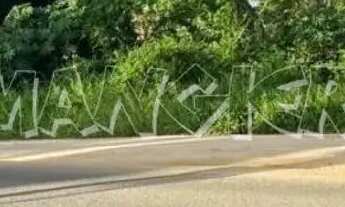 Imagem 2: Terreno de 6.000m² para alugar na Barra dos Coqueiros, Sergipe