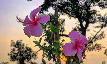 Imagem: Terreno barato em Ibiúna e pronto pra construir