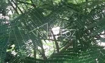 Imagem 3: Apartamento : Padrão / Residencial / Glória