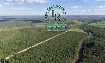 Imagem 3: Fazenda Agricultura Irrigada 93 Alqueires Tocantins