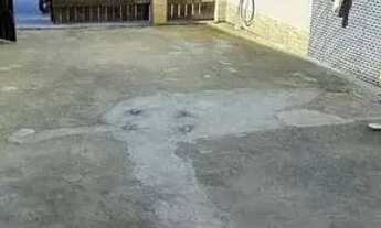 Imagem 7: Casa em Rua da Limeira - Parque Mambucaba (Mambucaba) - Angra dos Reis/RJ