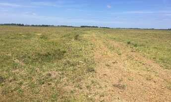 Imagem: Arrendamento região Central RS