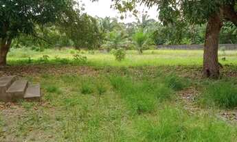 Imagem 4: Sítio, Pindaí Paço Lumiar