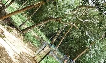 Imagem 4: Chácara aluguel