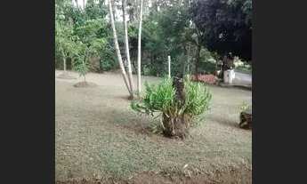 Imagem 5: Vende se um sítio no bairro Varjão.Pirai