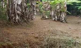 Imagem 2: Sitio Chácara com venda por R$87.000