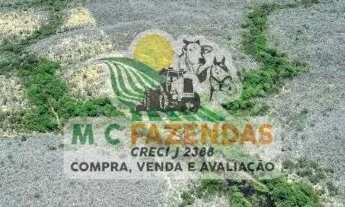 Imagem 5: Fazenda à Venda em Canudos - BA