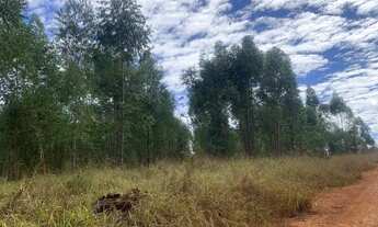 Imagem 6: Chácara 20.000m², toda área terra de cultivo, excelente topografia, agua, Jaboticatubas