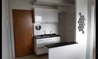 Imagem 3: Alugo Ap 1Qt, 312 samambaia