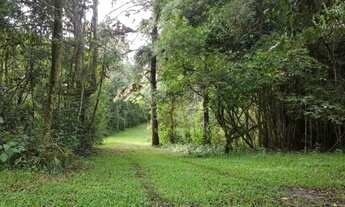 Imagem 3: SÍTIO À VENDA NO POLENGHI / MACHADINHO - ANGATUBA/SP