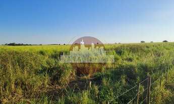 Imagem 2: Fazenda à venda na região de Jales com 220 alqueires