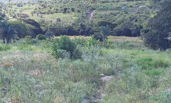 Imagem: Sítio na Chapada Diamantina(capão do mel