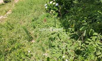 Imagem 2: Lote de Terreno de Oportunidade à Venda na Região de Abernéssia - Campos do Jordão/SP