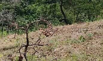 Imagem 3: Vendo lote de 200 metros, valor 12 Mil reais