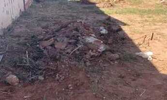 Imagem: 2 lotes excelentes com 165m² em ótima