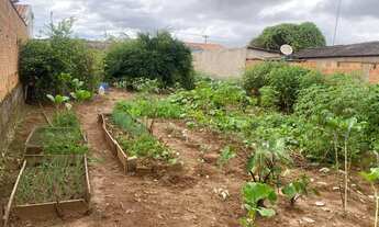 Imagem 5: Terreno 11x 25 Jd derminio