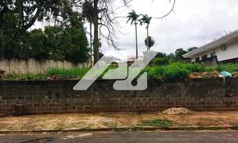 Imagem 2: área - Parque Taquaral - Campinas