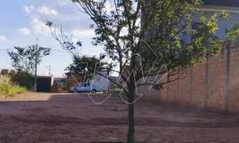 Imagem: Venda de Terreno / Padrão na cidade de