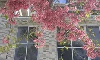 Imagem 3: Sobrado à venda com 4 dormitórios em Caraguatá, Mairiporã, SP