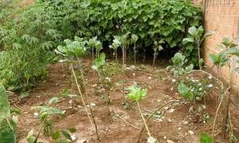 Imagem 2: Terreno 11x 25 Jd derminio