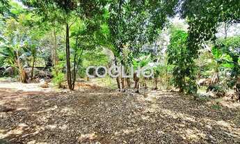 Imagem 3: EXCELENTE TERRENO A VENDA NO PARQUE TAQUARAL, CAMPINAS