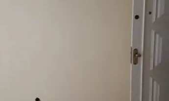 Imagem 5: Apartamento 2 Quartos - Santa Rosa