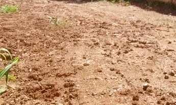 Imagem 4: Amplo Terreno 11 x 45m. Região Central de Canoas. R$ 280mil