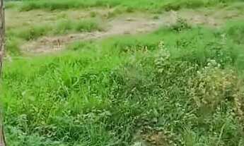 Imagem 2: Lote Terreno / lote com venda por R$14.000