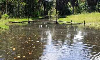 Imagem: Vende-se terreno com igarapé