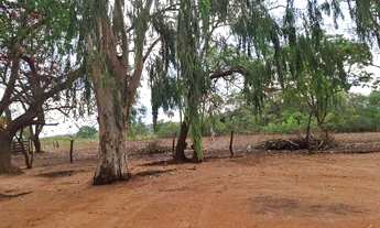 Imagem 2: Fazenda de 176 ha, ( 36 alqueires ), no Municipio de Guaraní de Goiás
