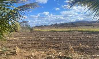 Imagem 3: Fazenda/Sítio/Chácara para venda possui 90 metros quadrados em Canabrava - Francisco Sá