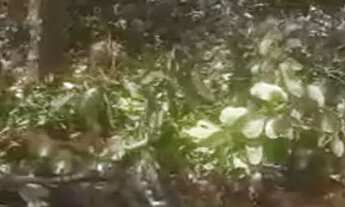 Imagem 3: Vendo Terreno,troco em carro ou moto