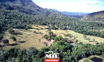 Imagem 3: Bela fazenda com 3 belas cachoeiras na regiao da Chapada dos Veadeiros
