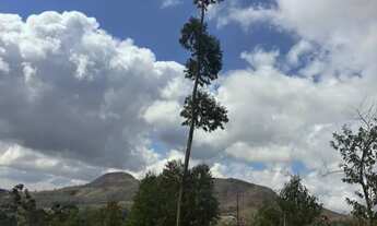 Imagem 5: Terrenos Amplos para Construção de Chácaras ou Airbnb Pronto para Lucrar em 180 dias!