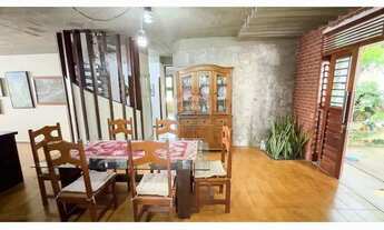 Imagem 7: O Refúgio do Pé de Açaí