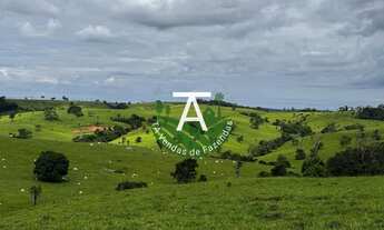 Imagem 3: Fazenda de 192 alq em Ipameri-GO