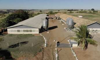 Imagem: Granja já pronta