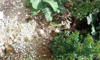 Imagem 5: Terreno em Jardim Laura por R$ 200.000. Imóvel Rural em São Paulo/SP