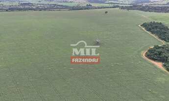 Imagem: Fazenda 24 Alqueires (116.16 Hectares) Pires