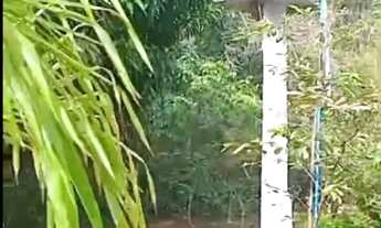 Imagem 7: Ponte Alta Sul, Próximo do Pé de Galinha 20.000m² com córrego R$ 250.000